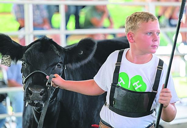 Brett Seematter – Purple Champion Beef Showman-Junior Division