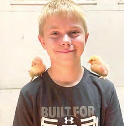 Chicken exhibitor Evan Christen.