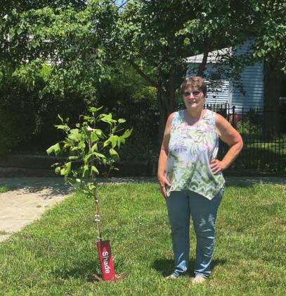 Mary Luedders and her Tulip tree.