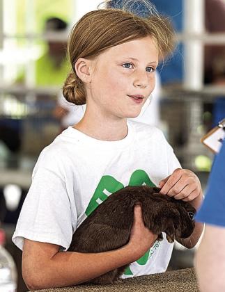 Rabbit Show