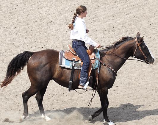 Morgann Fiedly, Champion Senior Showmanship