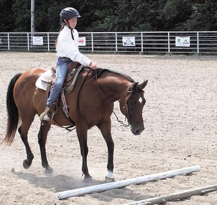 Collins Hinrichsen, Champion Junior Ranch Riding