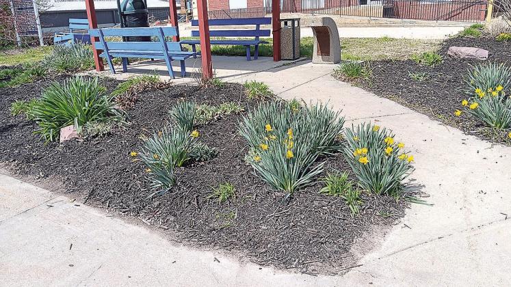 Earth Day in Pawnee City