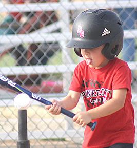 Pawnee City T-Ball and Coach Pitch Games