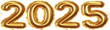 2025 5 New Year’s resolutions to benefit the brain