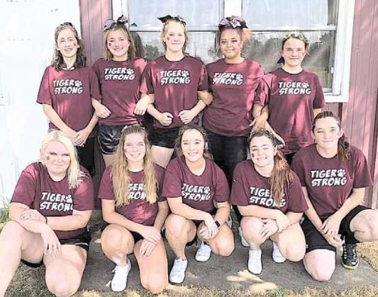 The LCS Cheer squad this year