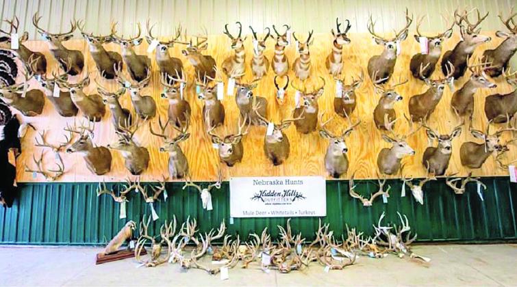 Trophy Animals taken at Hidden Valley Outfitters
