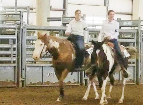 District Horse Show Results