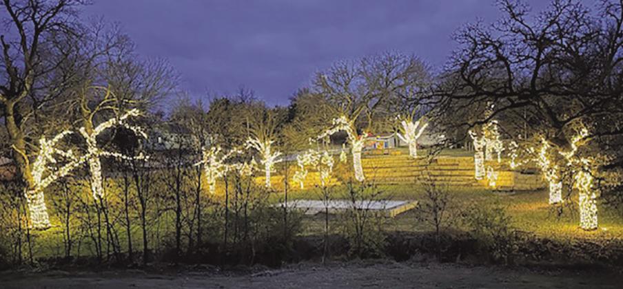 VanHorne Park Transformed into a Winter Wonderland