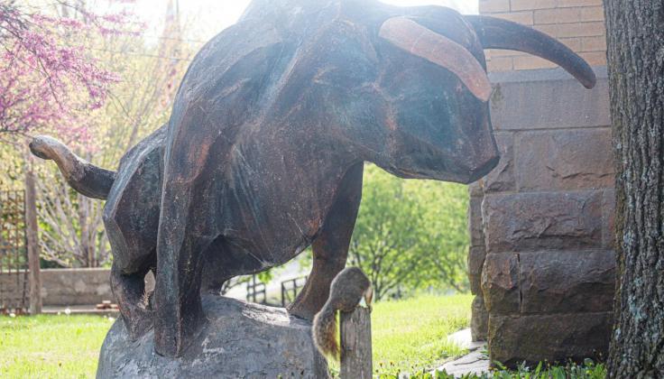 A conversation between the squirrel and the bull