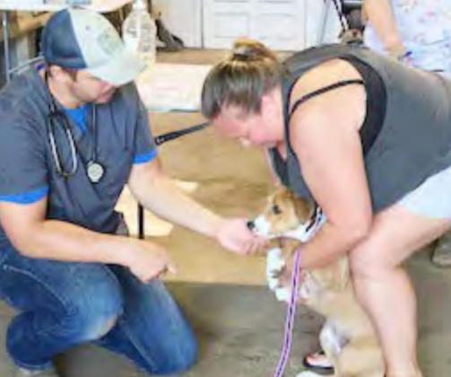 Vaccination clinic