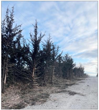 A patch of road the shredder worked on.