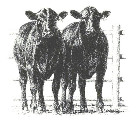 NEBRASKA CATTLE  ON FEED UP 5%