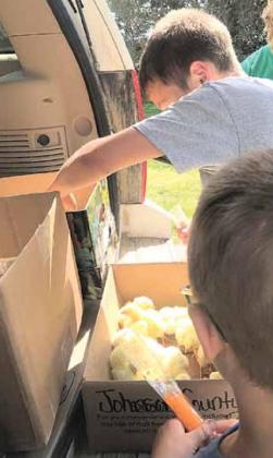Raising Broilers as a 4-H Project