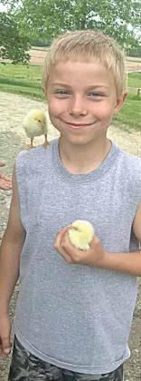 Raising Broilers as a 4-H Project