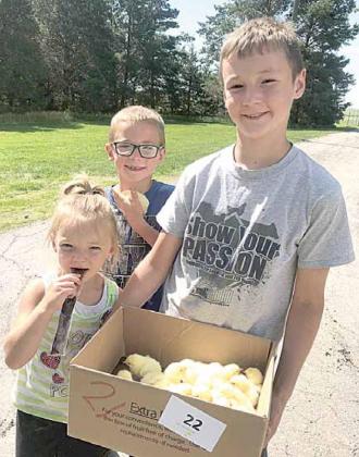 Raising Broilers as a 4-H Project