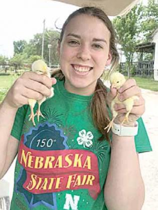 Raising Broilers as a 4-H Project