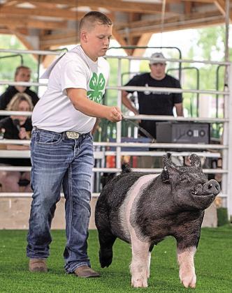 Tucker Sporhase – Gilt - First Purple Champion Market Gilt – Supreme Champion Market Swine – Best In Barn-Swine