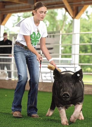 Aubrey Sisco – Gilt - First Purple Champion FFA Market Swine Reserve Supreme Champion Market Swine
