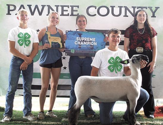 Brock Janssen, Supreme Champion Breeding Sheep, Best in Barn Back row: Evan Christen, Sheep Superintendent Dana Meyburrn, Leah Christen, Sheep &amp;amp; Goat Judge Jaylynn Lamd