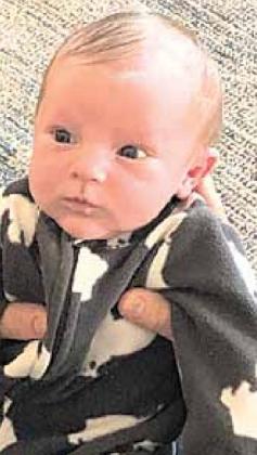 Lucas Carter Borcher