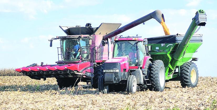 Grant Wenzl harvesting corn on his land north of Pawnee City. When asked about his yields Grant said that his corn was averaging 160 to 180 bushels per acre and soybeans were averaging 55 to 70 bushels per acre.