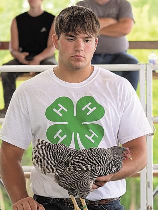 Dylan Layne – Purple Champion Poultry Showman-Senior