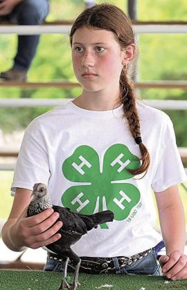 Collins Hinrichsen Purple Champion Poultry Showman-Intermediate Division