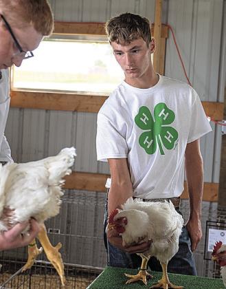 Payton Heideman First Purple – Champion Broiler Pen of Three