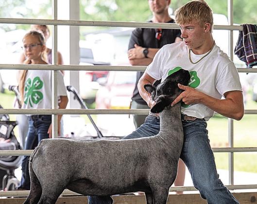 Evan Christen – First Purple Champion Sheep Showman-Senior Division Round Robin Showmanship Representative