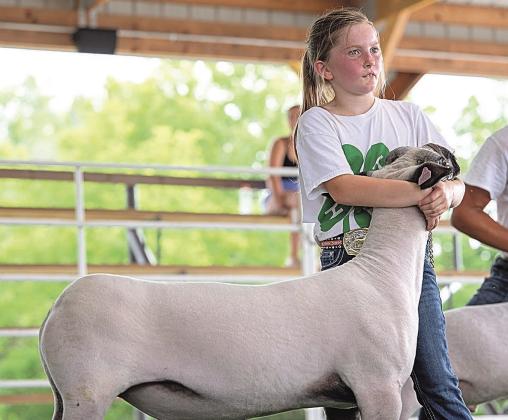 Addison Barr – First Purple Champion Meat Goat Showman-Junior Division Round Robin Showmanship Representative