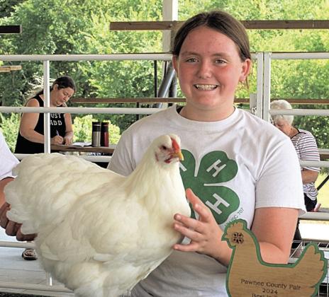 Nevaeh Hill Champion Large Fowl, Supreme Champion Poultry, Best in Barn