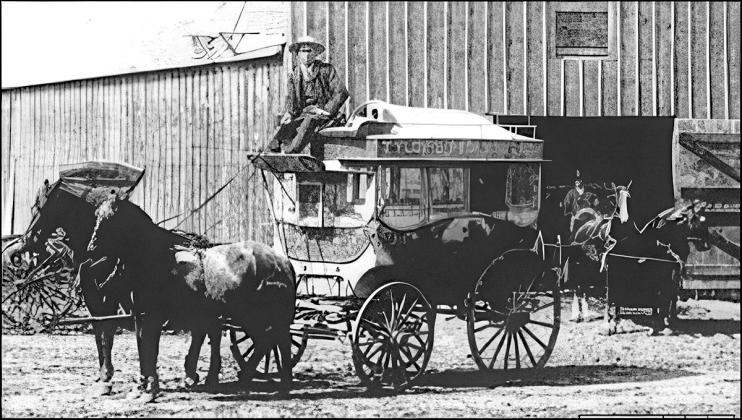Above: Lulu in 1888. Who is at the reins? Is it Will Taylor? Johnny Beck? Someone else? I don’t know. This is a picture of a picture. Where is the original, if it survives? I don’t know. Rats.