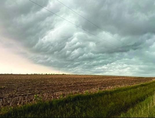 Photo courtesy of Shelly Fortner