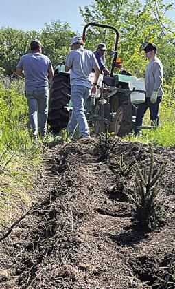 NRD Taking Orders for Spring Conservation Tree Plantings