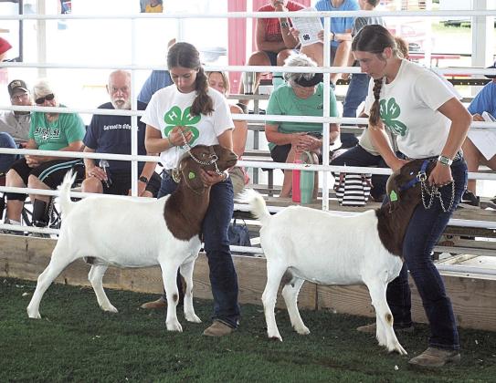 Morgann Friedly (L), Champion Senior Showmanship Hallye Friedly (R), Reserve Seniot Showmanship