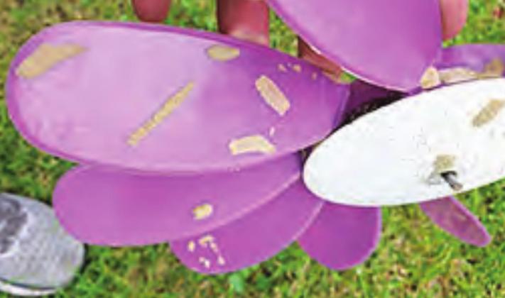 CHECK CROPS FOR FALL ARMYWORMS