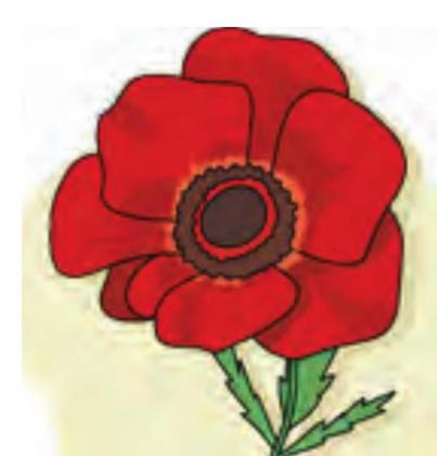 Poppy Day