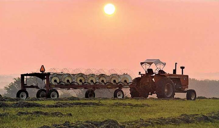 Farmer Sunrise