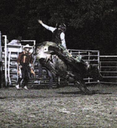 Rodeo Pictures Continued