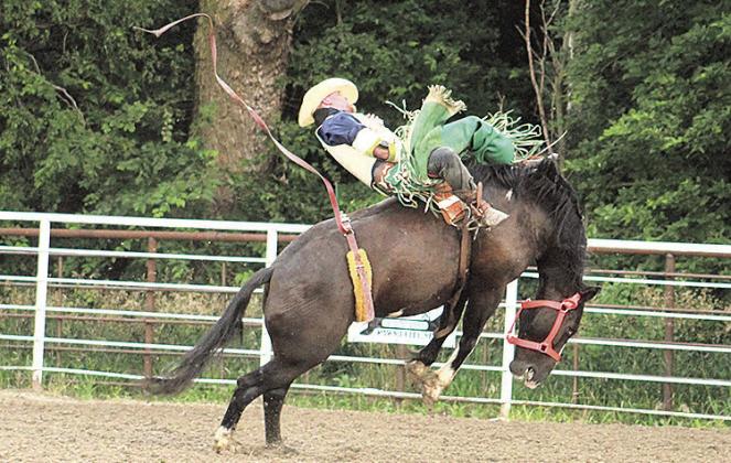 Rodeo Pictures Continued