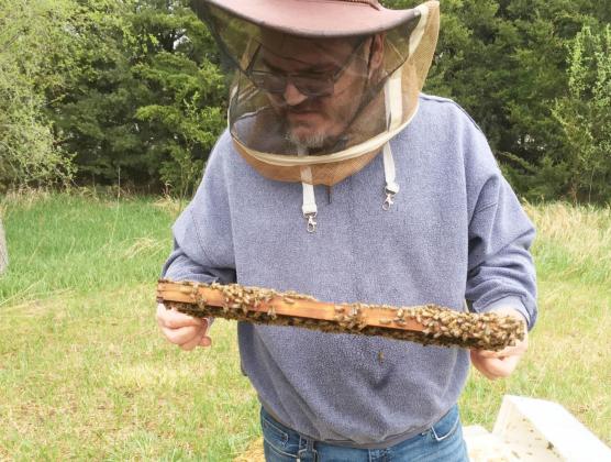Jason Vetrovsky intrigued with bees at a young age