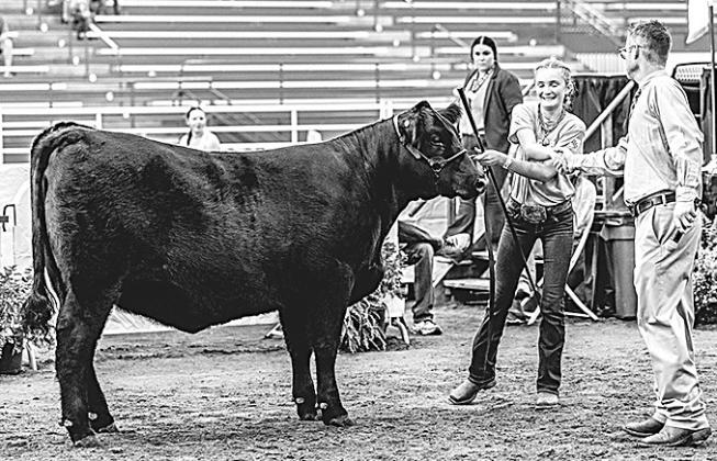 Aubrey Sisco–Champion All Other Breeds Breeding Heifer
