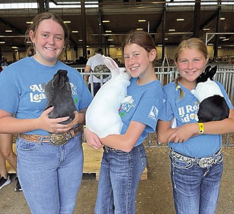 Nevaeh Hill, Collins Hinrichsen &amp;amp; Sheridan Hinrichsen