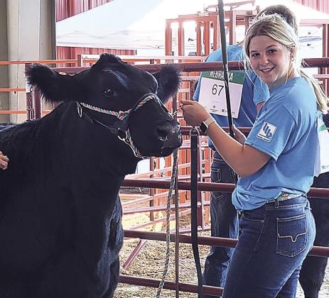 DeLanye Currie–Blue Ribbon–Senior Beef Showmanship
