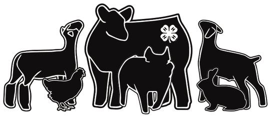 National 4-H Week October 7th-12th Theme: Beyond Ready
