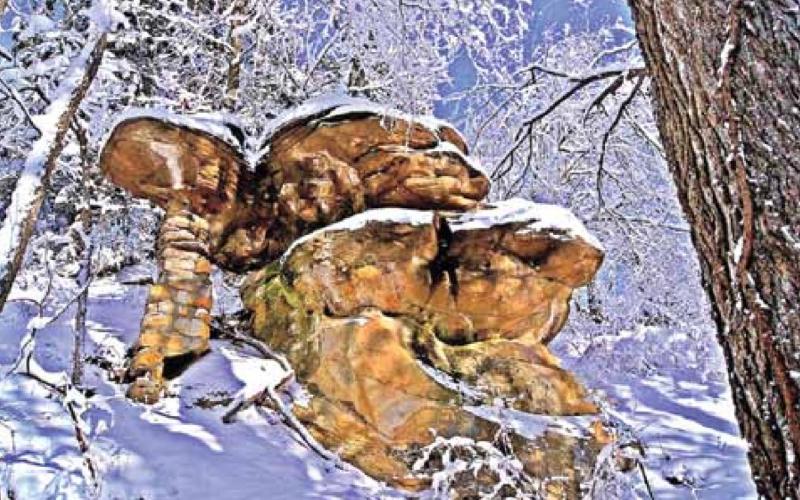 Turtle Rock by Kim Vrtiska