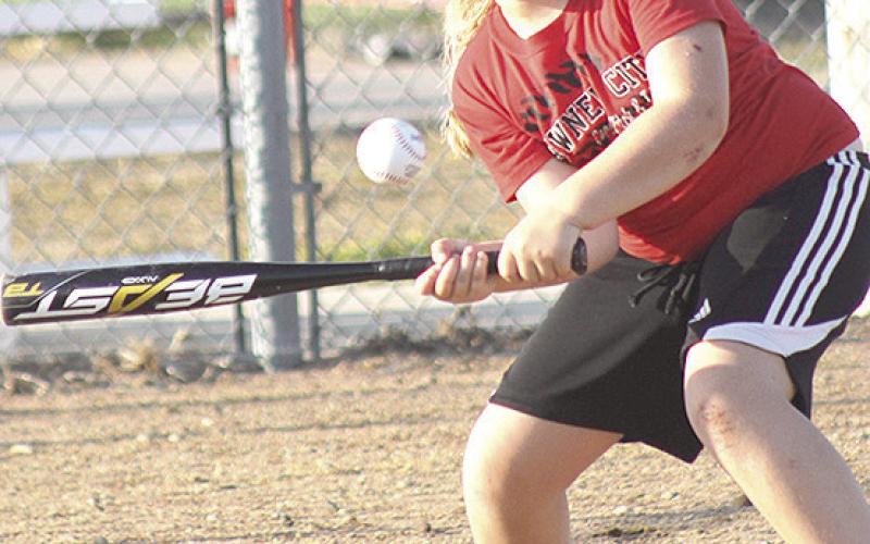 Pawnee City T-Ball and Coach Pitch teams wrap up seasons