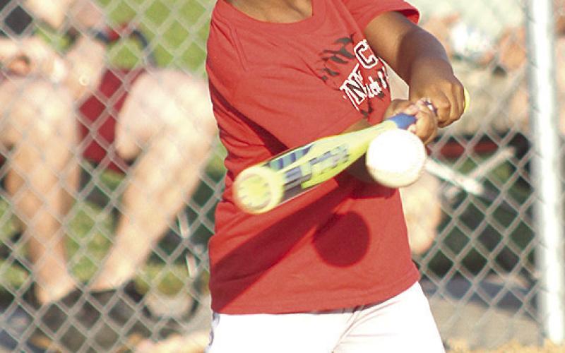 Pawnee City T-Ball and Coach Pitch teams wrap up seasons