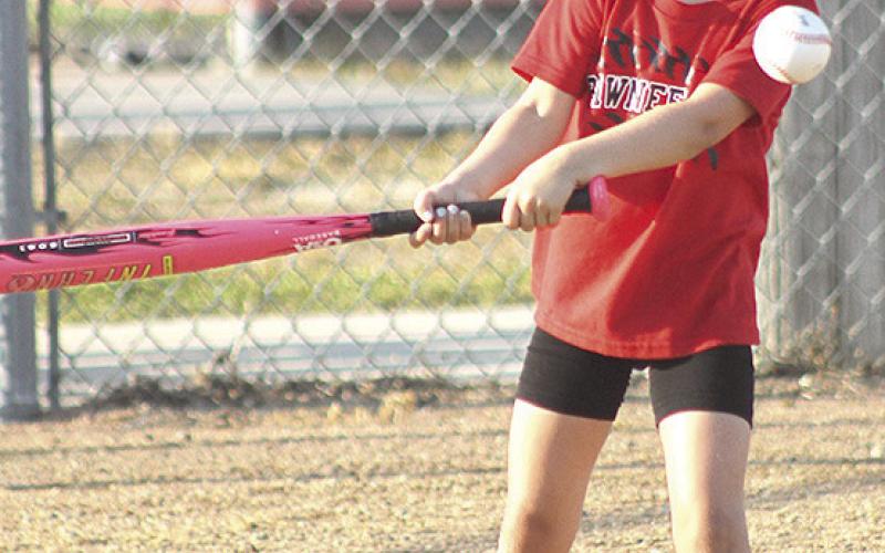 Pawnee City T-Ball and Coach Pitch teams wrap up seasons